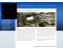 web-InternalNewsletter